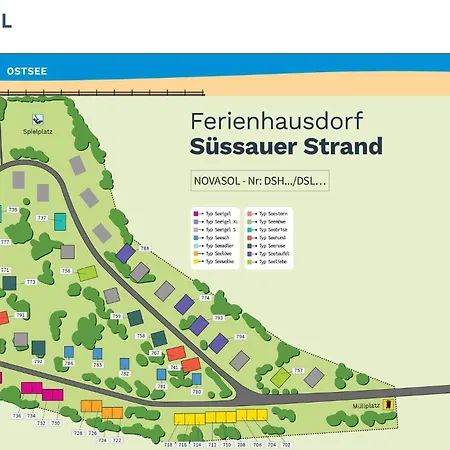 Seehund Sussau